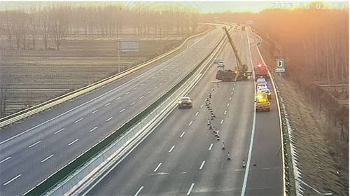 1_副本.png 1_副本.png