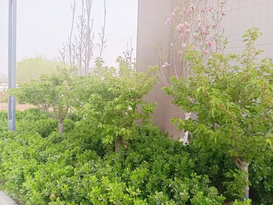 E:\用户\I\Desktop\10_副本.jpg E:\用户\I\Desktop\10_副本.jpg