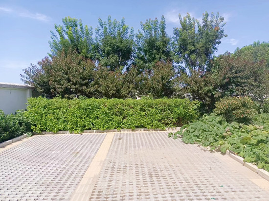 E:\用户\I\Desktop\6_副本.jpg E:\用户\I\Desktop\6_副本.jpg