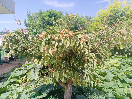 E:\用户\I\Desktop\7_副本.jpg E:\用户\I\Desktop\7_副本.jpg