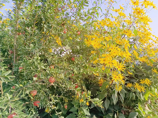 E:\用户\I\Desktop\9_副本.jpg E:\用户\I\Desktop\9_副本.jpg