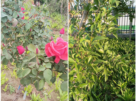 E:\用户\I\Desktop\3_副本.jpg E:\用户\I\Desktop\3_副本.jpg