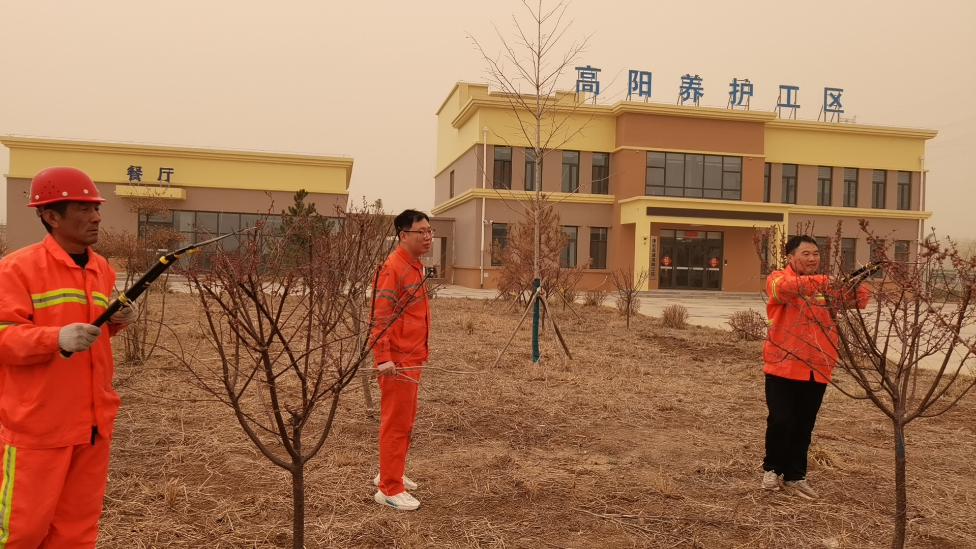 站区整理优化环境.jpg 站区整理优化环境.jpg