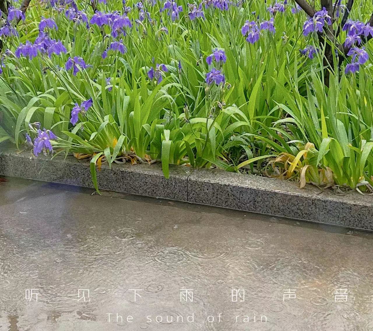 ed18a6b8d1b3bbc0c794c10dfdf7932.jpg ed18a6b8d1b3bbc0c794c10dfdf7932.jpg