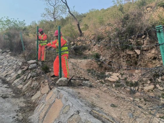 修刺丝1.jpg 修刺丝1.jpg