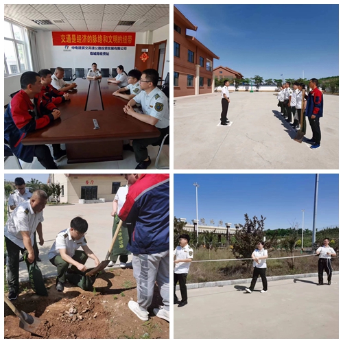 合集_副本.jpg
