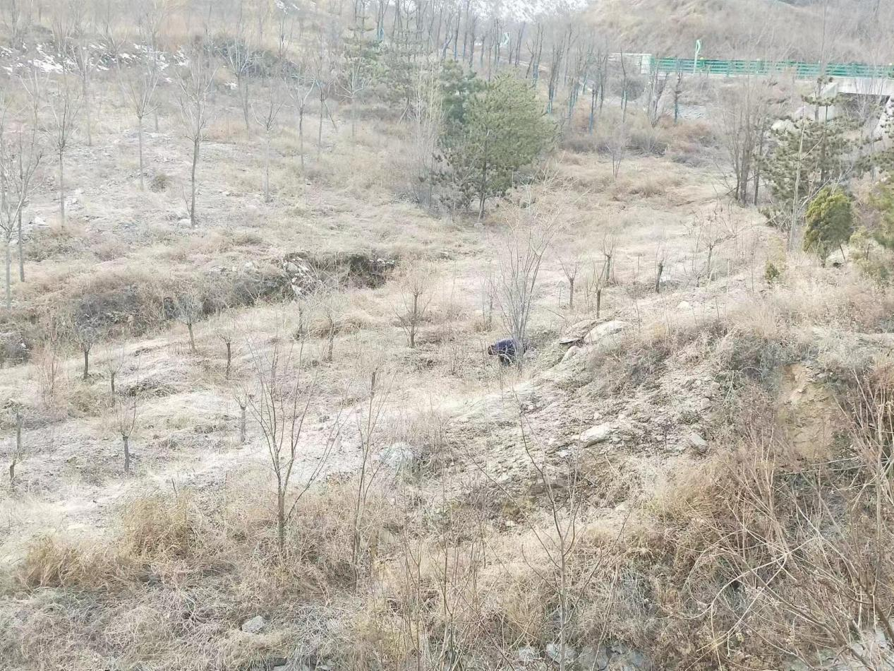 C:\Users\Administrator\Desktop\1.png C:\Users\Administrator\Desktop\1.png