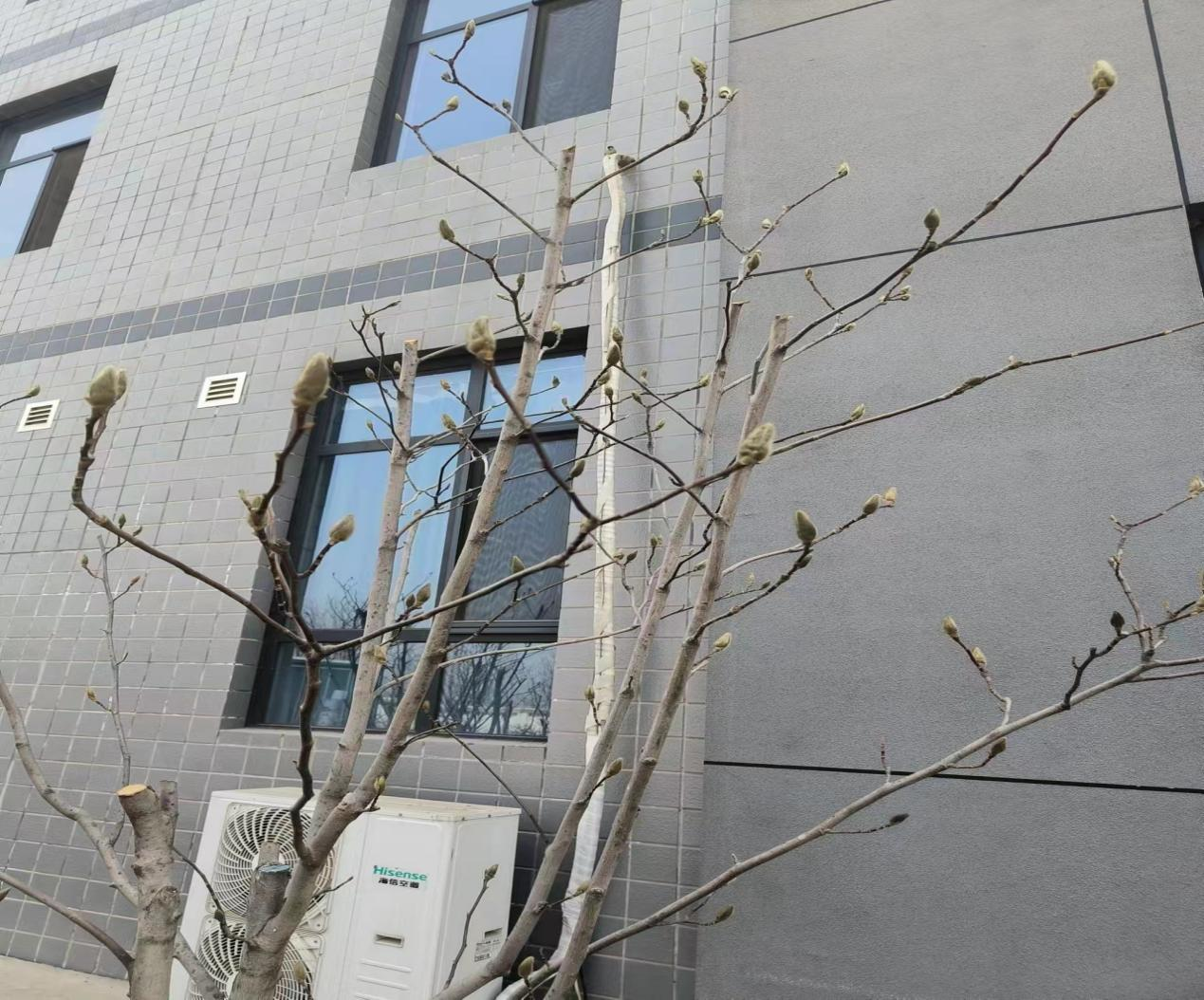 E:\用户\I\Desktop\图片1.png E:\用户\I\Desktop\图片1.png