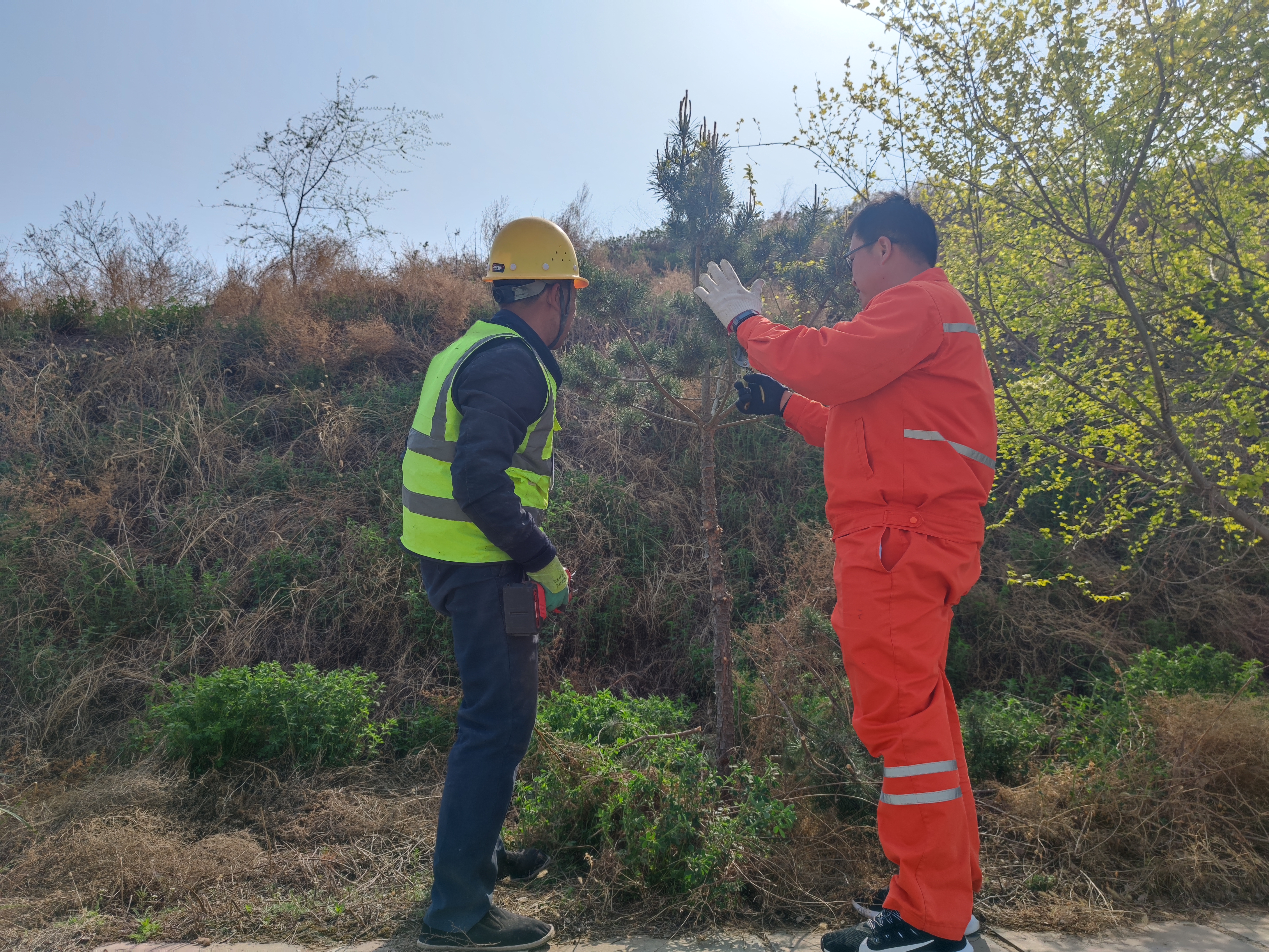 C:\Users\Administrator\Desktop\dfac4a2f34ee30c4f5bfef627031979.jpg C:\Users\Administrator\Desktop\dfac4a2f34ee30c4f5bfef627031979.jpg