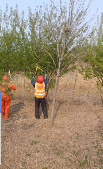 51e73437fda177c541721fc9e4d8fb7.jpg 51e73437fda177c541721fc9e4d8fb7.jpg