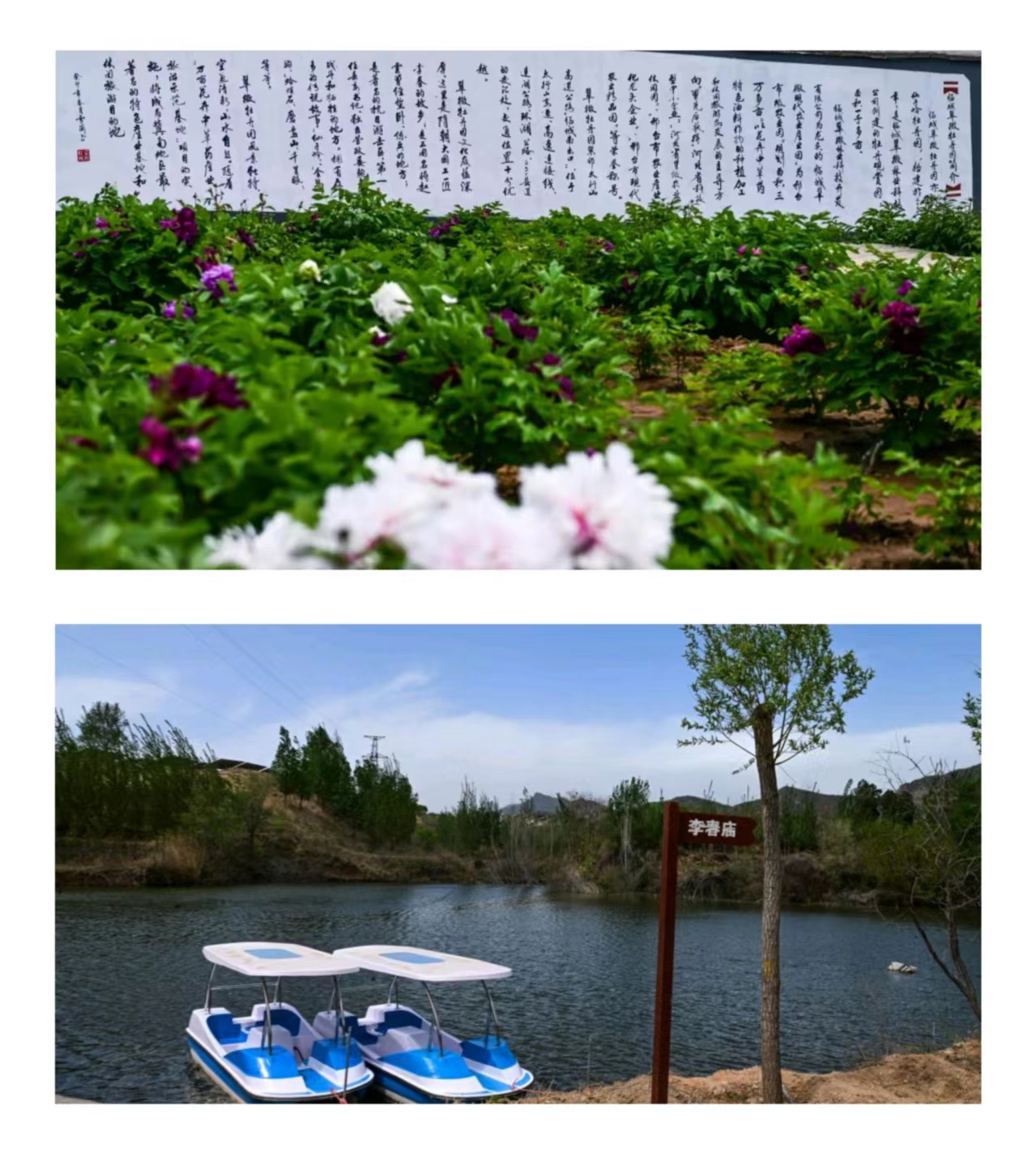 微信图片_20240515124556.jpg