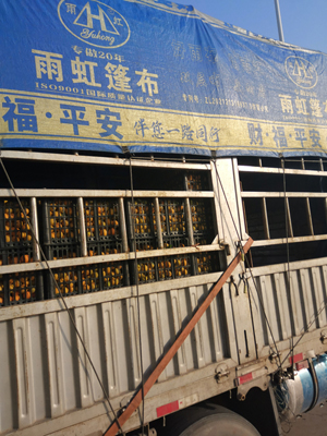 微信图片_20240518124731.jpg