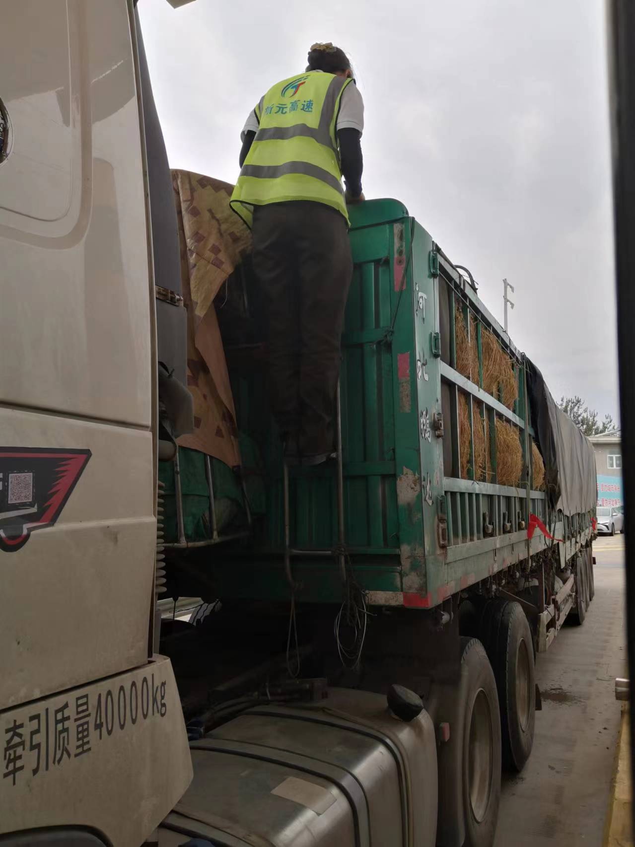 32f8582406b90a38cea67e5365cde8a.jpg 32f8582406b90a38cea67e5365cde8a.jpg