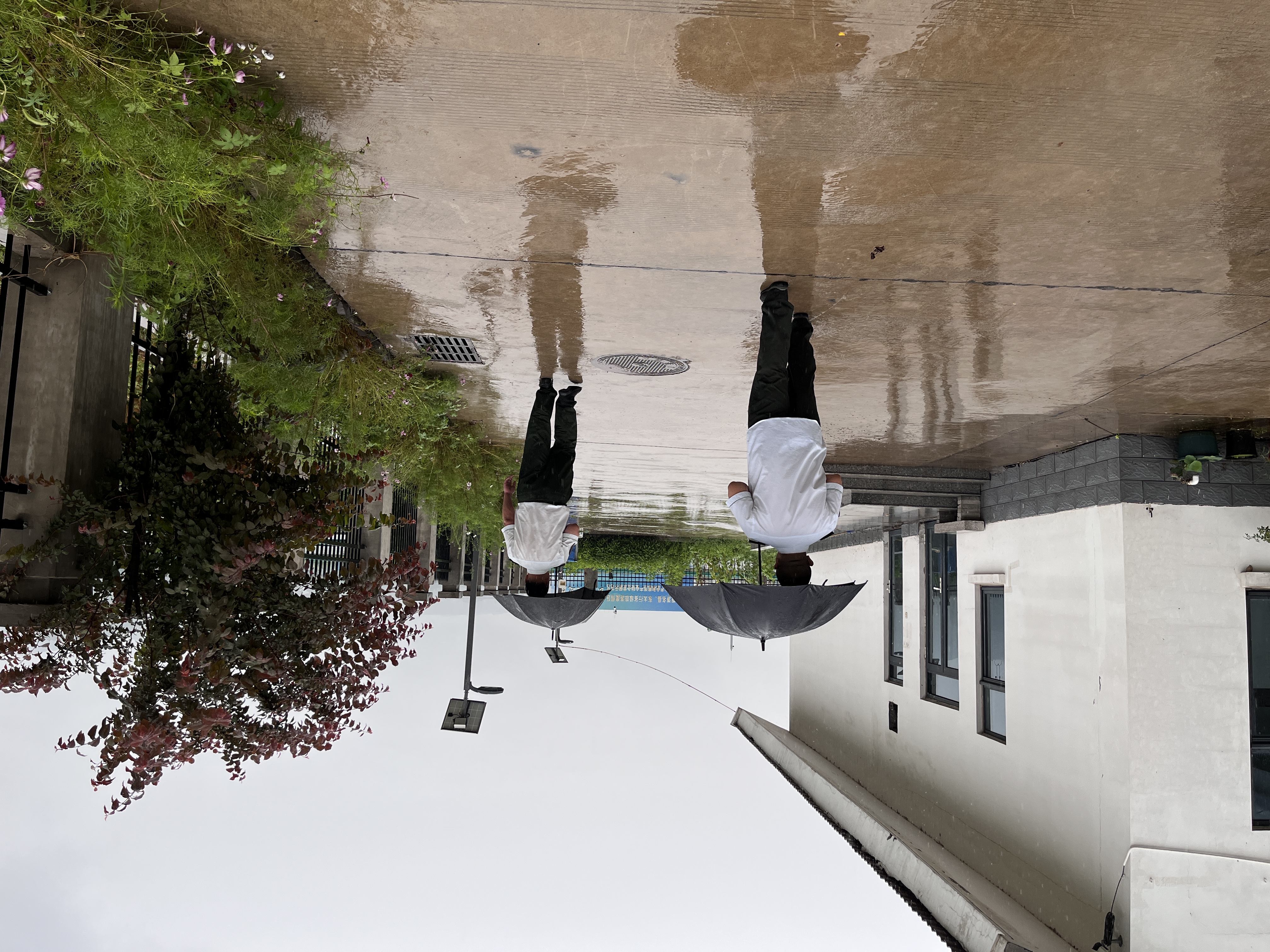 院区路面.jpg 院区路面.jpg