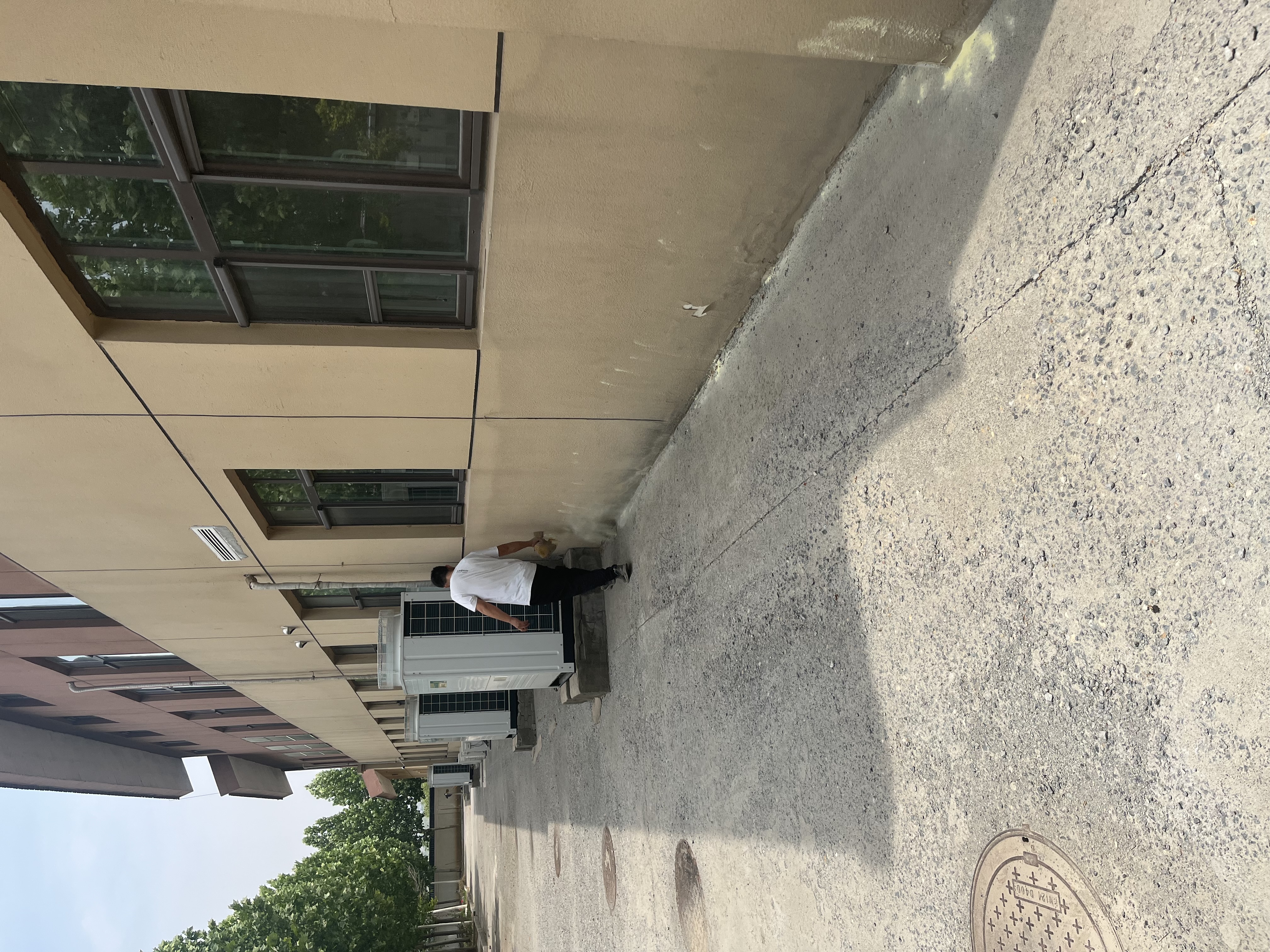 IMG_7310.jpeg
