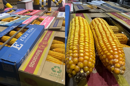 微信图片_20251016205219_1_2.jpg 微信图片_20251016205219_1_2.jpg