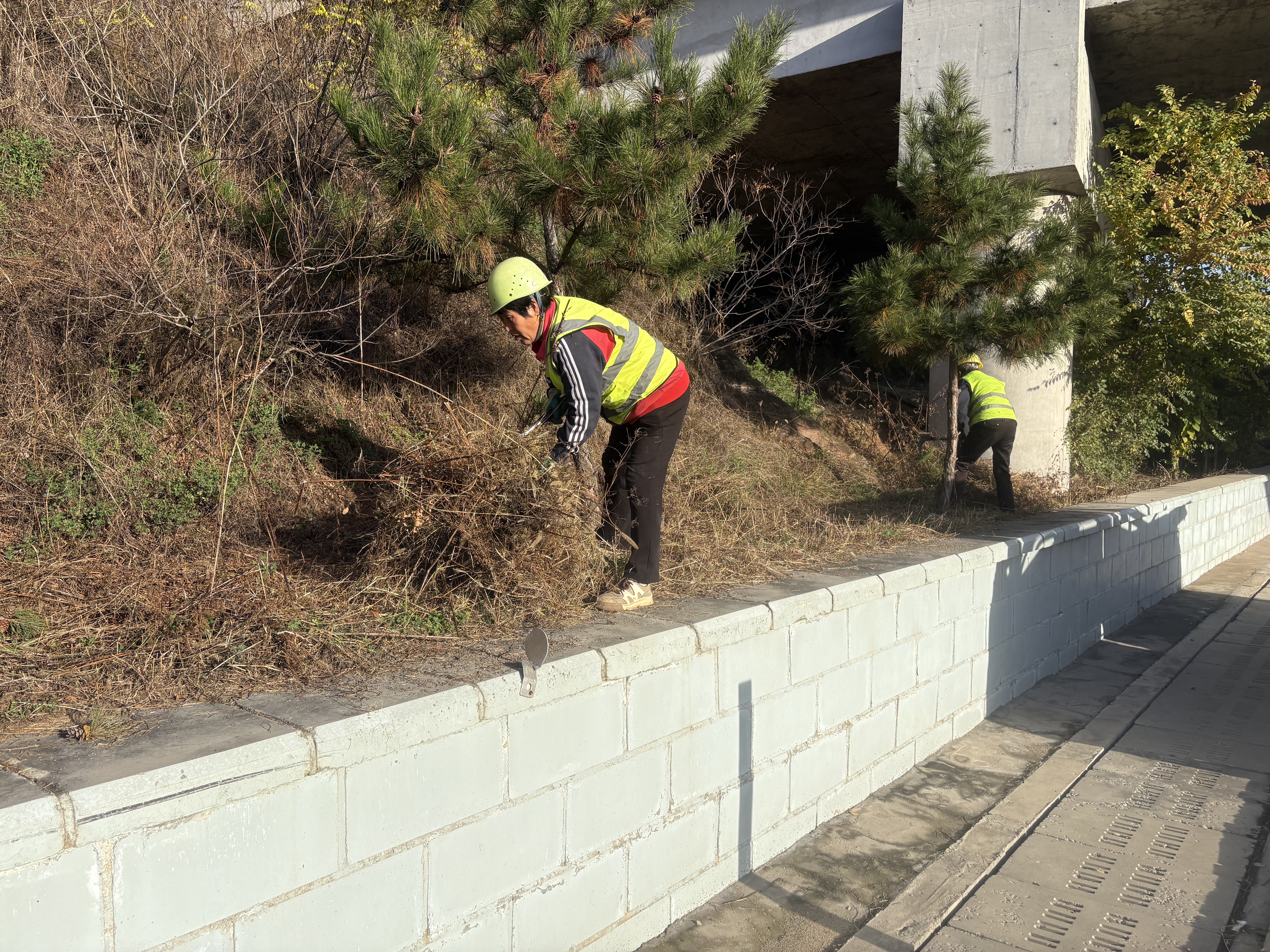 56193115a28b129716e74574bb6d7512.jpg 56193115a28b129716e74574bb6d7512.jpg