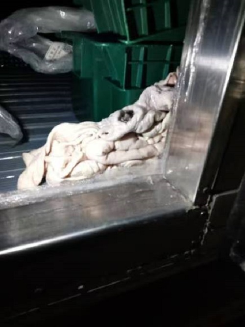 c45dbd5d2ea18ceef1e1f2d0ece2bb7.jpg c45dbd5d2ea18ceef1e1f2d0ece2bb7.jpg