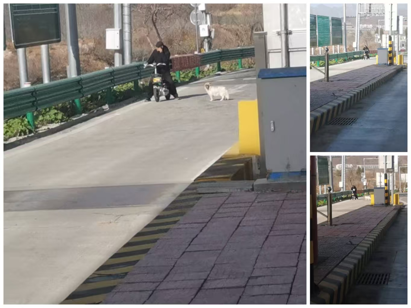 车.jpg