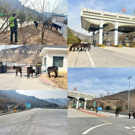 fcdaf11a94402fe2512fa6f44a3d50d1.png fcdaf11a94402fe2512fa6f44a3d50d1.png