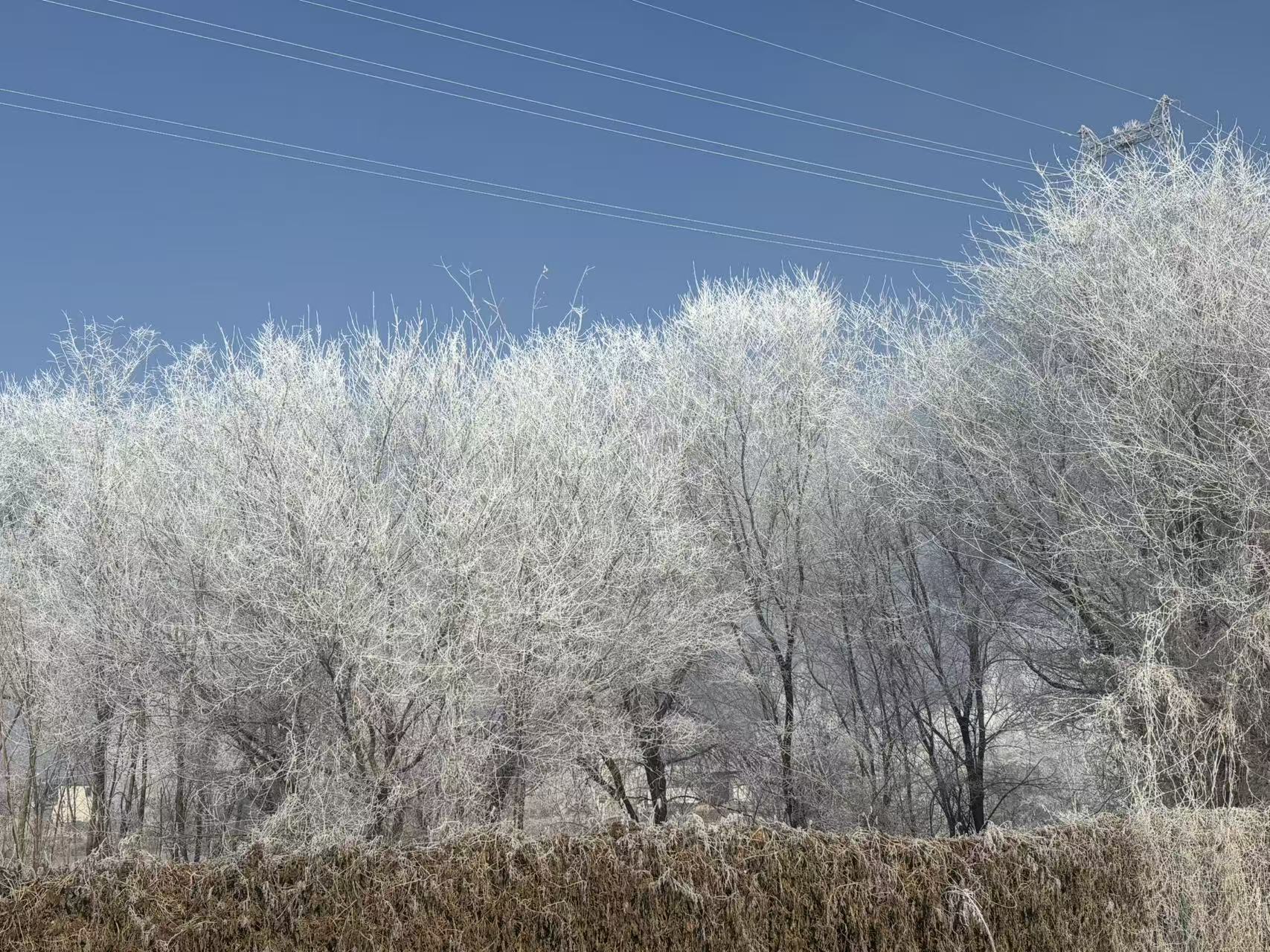 70edd7b65dee6b145f30751104b24d5f.jpg 70edd7b65dee6b145f30751104b24d5f.jpg