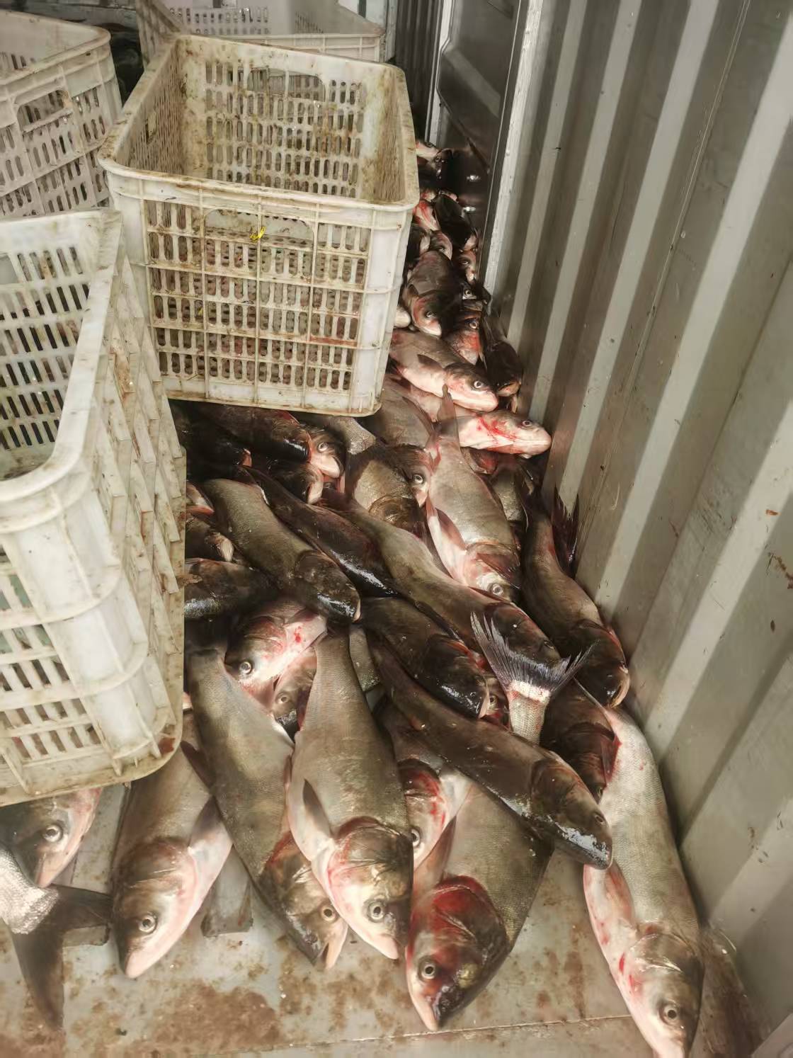 4aaa325b85830745dabfb0fd599477d.jpg 4aaa325b85830745dabfb0fd599477d.jpg