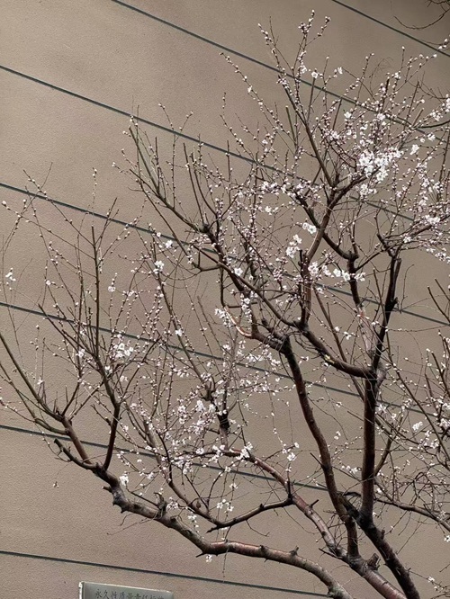 360488afc32bceb0db5cc575fb04054b.jpg 360488afc32bceb0db5cc575fb04054b.jpg