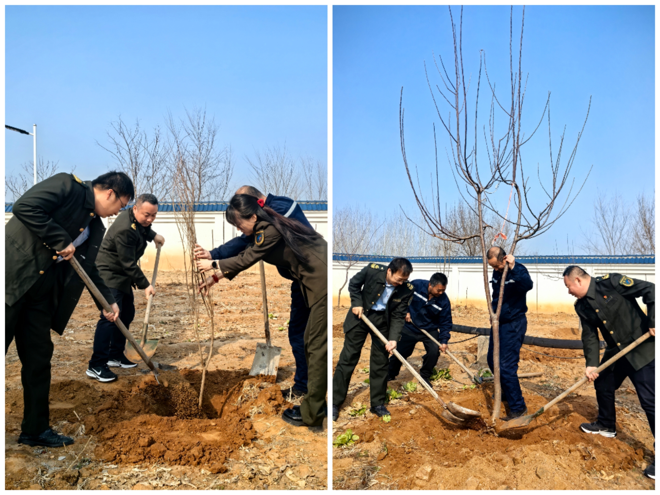 大道向绿 我们在行动——内丘北收费站植树节添新景 (2).jpg